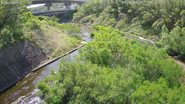 兵庫県の河川ライブカメラ｢伊川 西区前開南町(西神中央線)｣のライブ画像
