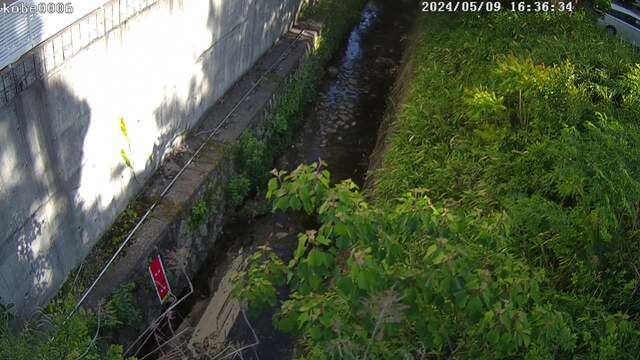 兵庫県の河川ライブカメラ｢高橋川 神戸市東灘区森北｣のライブ画像